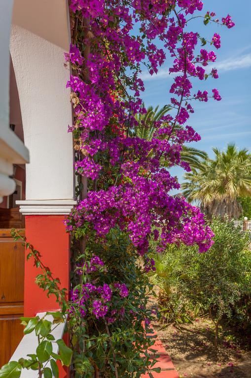 Tropical Studios Laganas Dış mekan fotoğraf