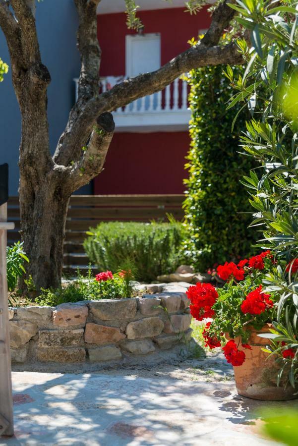Tropical Studios Laganas Dış mekan fotoğraf